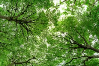 How Your Business Can Benefit from an Environmental Policy