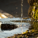 Google Claims One Gemini AI Prompt Uses Five Drops of Water