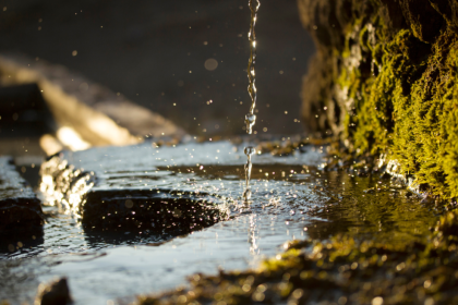 Google Claims One Gemini AI Prompt Uses Five Drops of Water